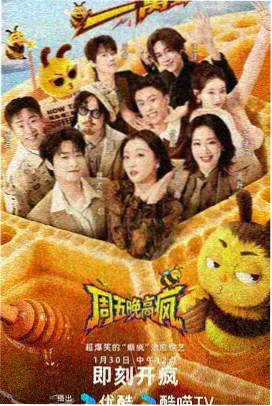 琴托拉律师人物档案